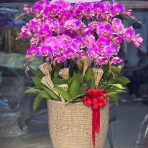 Thiên niên vạn lộc 02