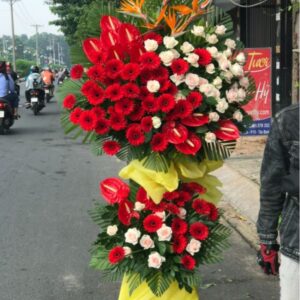 Khát vọng vươn xa 01