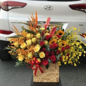 Vũ điệu thiên thần