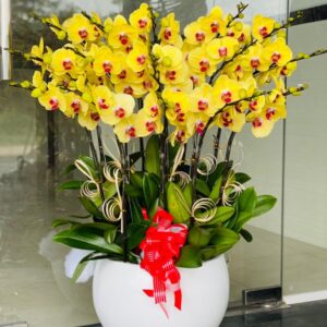 Thiên niên vạn lộc 04